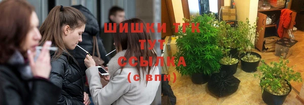 стаф Белоозёрский