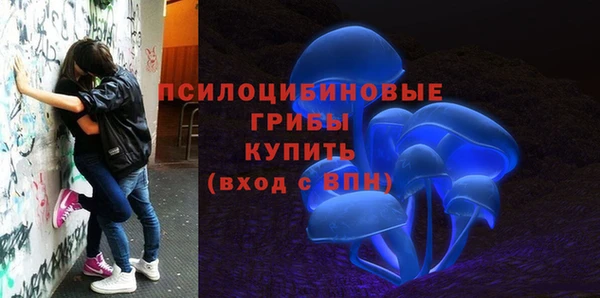 молекула духа Балахна